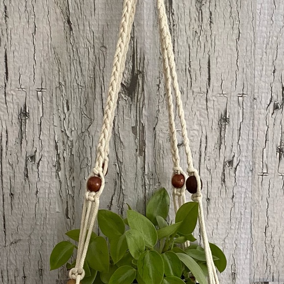 ๐ฟSOLD๐ฟ - Picture 2 of 2